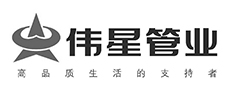 伟星
